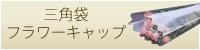 Op/t[Lbv